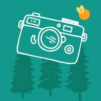 LES BROCS'ARTS - VIDE GRENIER